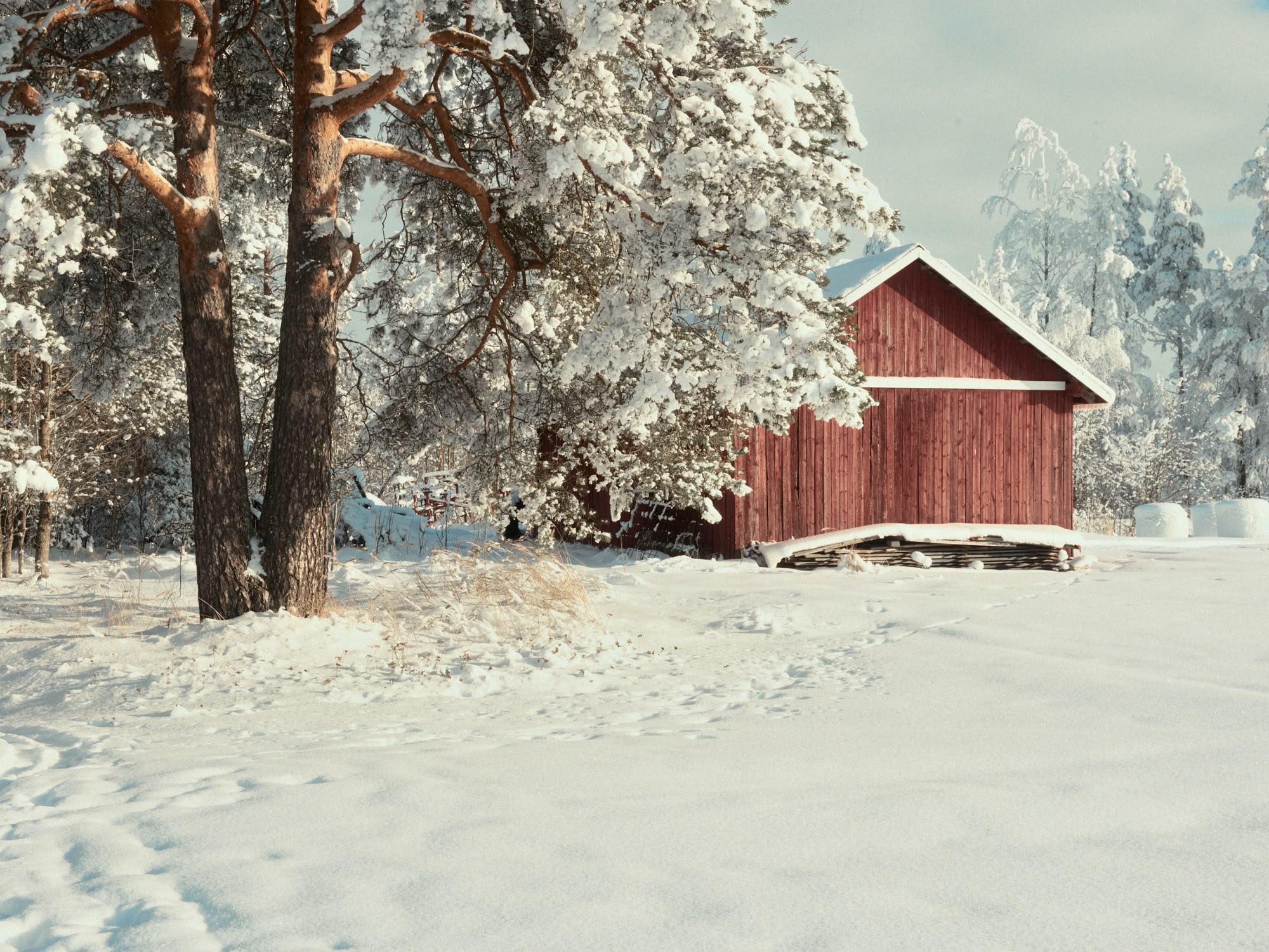 Kevättalvi