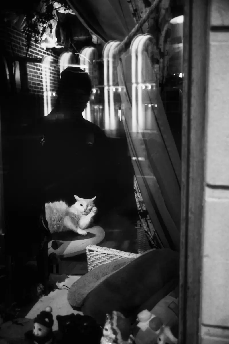 An artistic black and white photograph taken from outside a window of a cat café in Kamppi, Helsinki. Inside, a white cat rests comfortably, looking out. The window glass reflects a person walking on the street and the surrounding architecture, creating an intriguing double-exposure effect.