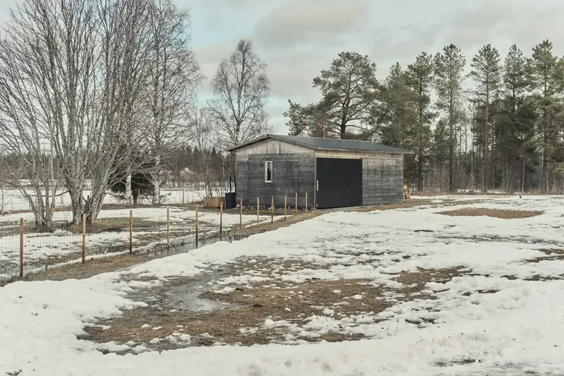 A landscape photograph of a rustic, grey wooden outbuilding with black double doors, captured during early spring or late winter. The ground is a mix of muddy, brown grass and large patches of melting snow. Bare birch trees stand to the left, and a dark green pine forest lines the background under an overcast sky.