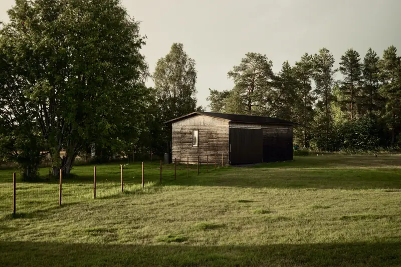 A summer landscape photograph of the wooden outbuilding. The scene is fully lush, with bright green grass in the foreground and the large tree on the left covered in dense, vibrant green leaves. The sky is a soft, overcast greyish-white, providing even lighting across the serene rural setting.