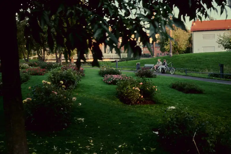 A peaceful park scene at dusk framed by dark tree leaves. Rose bushes dot the green lawn in the foreground. In the midground, two people sit on a bench beside a bicycle along a curving paved path, illuminated by soft golden evening light.