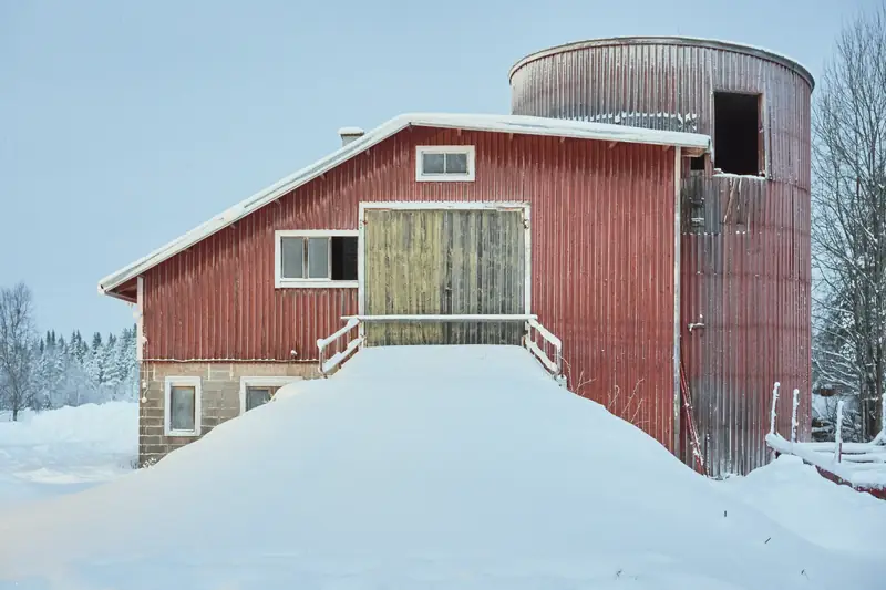 A red wooden barn and a cylindrical silo in a snowy winter landscape in Suomussalmi. A snow-covered ramp leads up to a weathered green door.